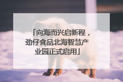 向海而兴启新程，劲仔食品北海智慧产业园正式启用